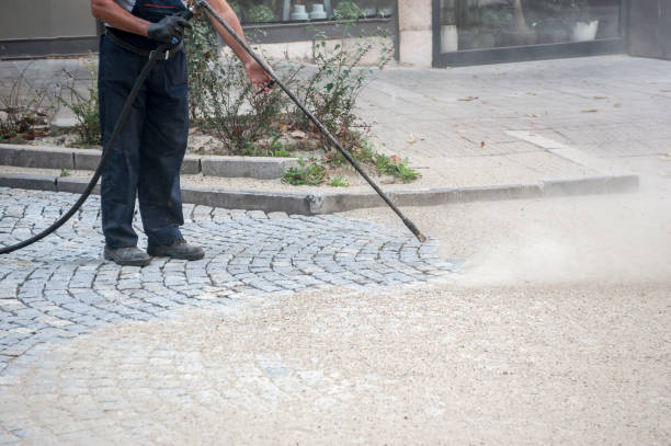 Best Driveway Pressure Washing  in Bon Aqua Junction, TN